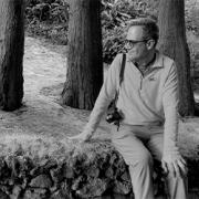 Pellini Pierluigi